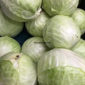 CABBAGE EACH