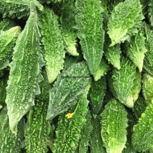 KARELA BITTER GOURD - 1LB | (3 pcs approx.)