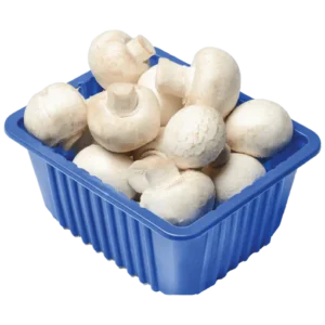 MUSHROOM - WHITE 1 PACK - 226GM