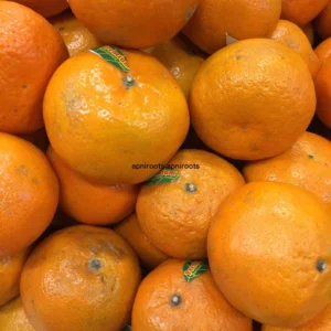 ORANGE TANGERINE SMALL - 1LB | (5-6 pcs approx.)