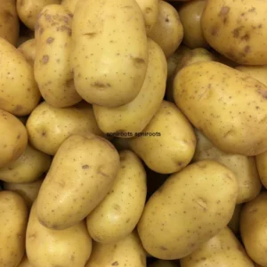 POTATOES - WHITE - 1LB