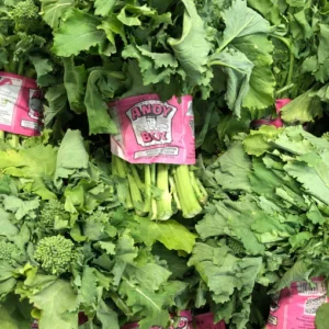 RAPINI SAAG SARSON bunch