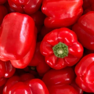 RED PEPPERS - per pc